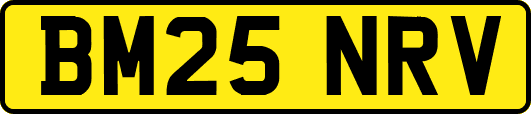 BM25NRV