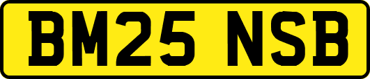 BM25NSB