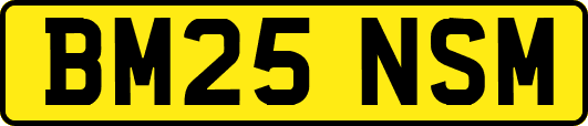 BM25NSM