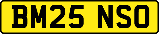 BM25NSO