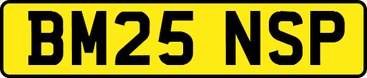 BM25NSP