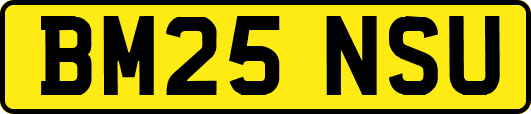 BM25NSU