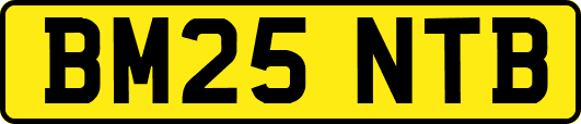 BM25NTB
