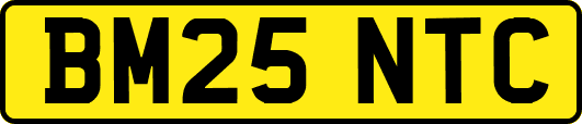 BM25NTC