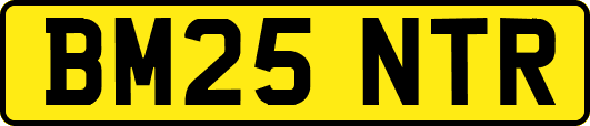 BM25NTR