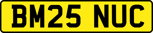 BM25NUC
