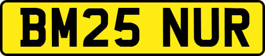 BM25NUR