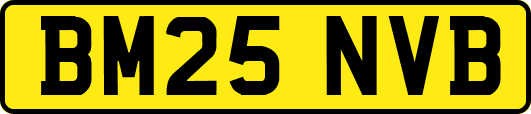 BM25NVB