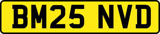 BM25NVD