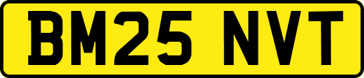 BM25NVT