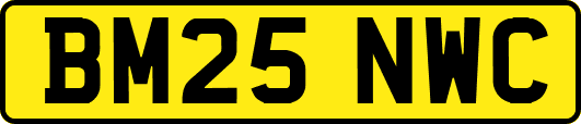 BM25NWC