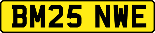 BM25NWE