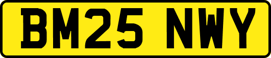 BM25NWY