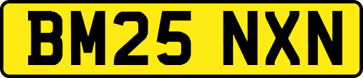 BM25NXN