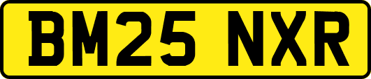 BM25NXR