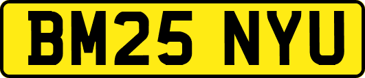 BM25NYU