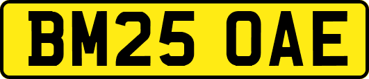 BM25OAE