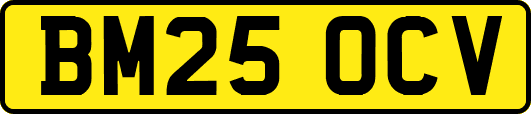 BM25OCV