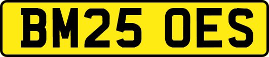BM25OES