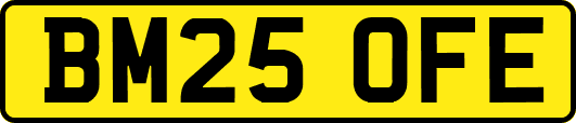 BM25OFE