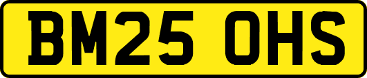 BM25OHS