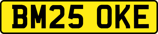 BM25OKE
