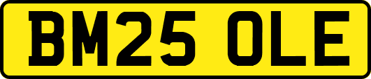 BM25OLE