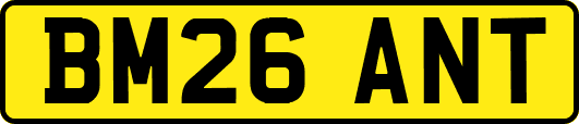 BM26ANT