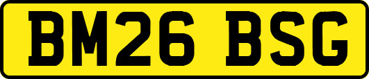 BM26BSG
