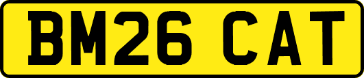 BM26CAT