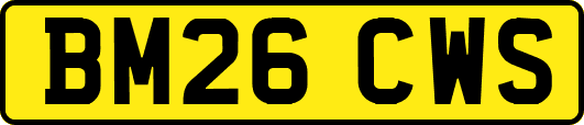 BM26CWS