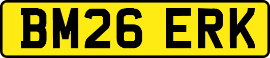 BM26ERK