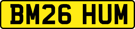 BM26HUM