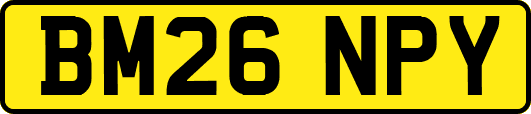 BM26NPY