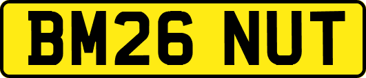 BM26NUT