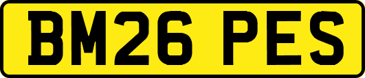 BM26PES