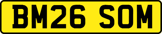BM26SOM