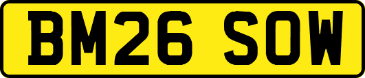 BM26SOW