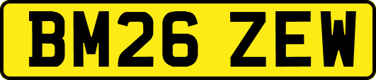 BM26ZEW