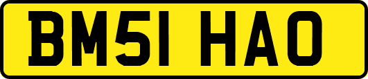 BM51HAO