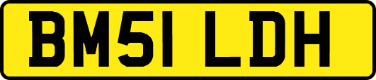 BM51LDH