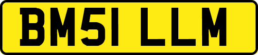 BM51LLM