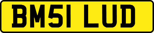 BM51LUD