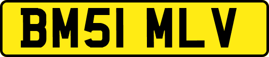 BM51MLV