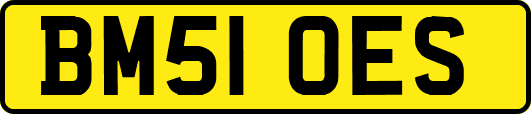 BM51OES