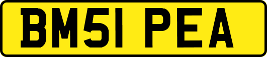 BM51PEA