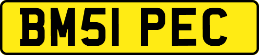 BM51PEC