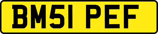 BM51PEF