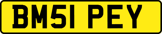 BM51PEY