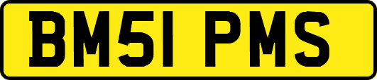 BM51PMS